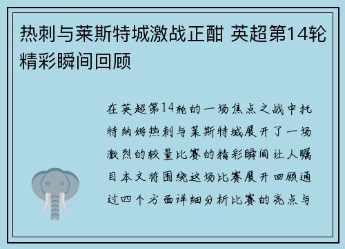 热刺与莱斯特城激战正酣 英超第14轮精彩瞬间回顾